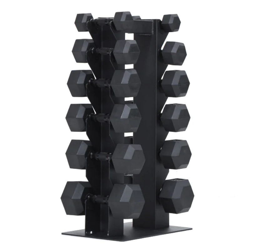 XM 6 Pair Vertical Dumbbell Rack Set Fitness Depot