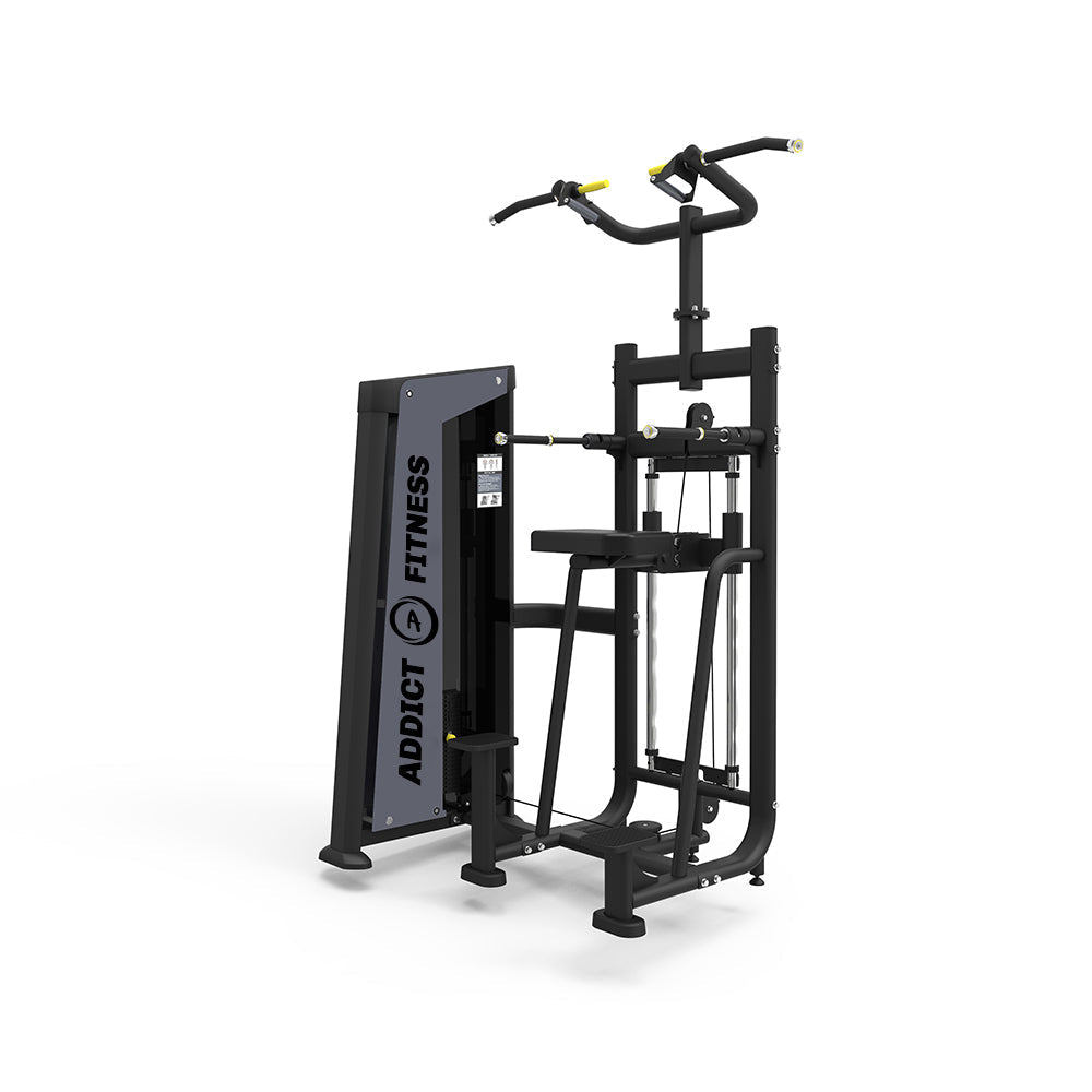 Dip/Chin Assist Selectorized Machine - Fitness Dépôt +