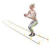 <tc>Northern Lights High Agility Speed ​​Ladder, 10 Rung, Adjustable</tc>