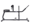 <tc>Northern Lights Seated Calf Machine</tc>