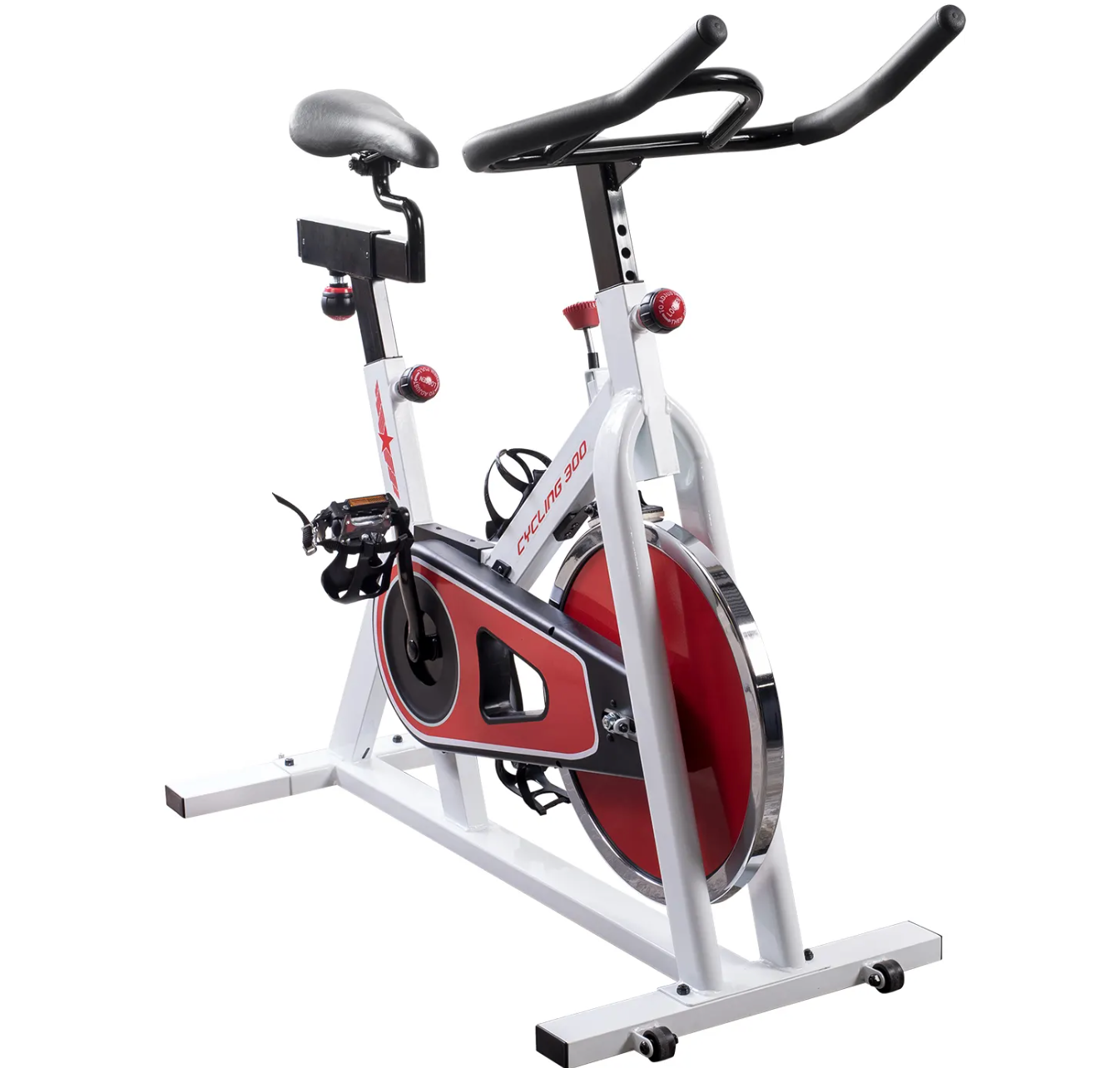 SF 300 Indoor Bike