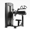 Element Fitness - Cobalt Dual Bicep & Tricep - Fitness Dépôt +