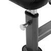 Element Fitness Preacher Curl Bench - Fitness Dépôt +