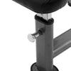 Element Fitness Preacher Curl Bench - Fitness Dépôt +